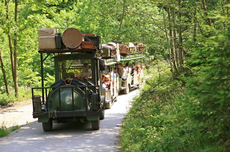 petit-train-parc-à-gibier